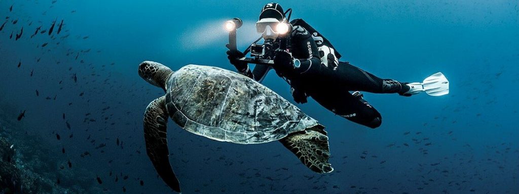 Diver and Turtle edited 1200x 1024x384 - The ultimate 3 Scuba Diving packages for Malaysians