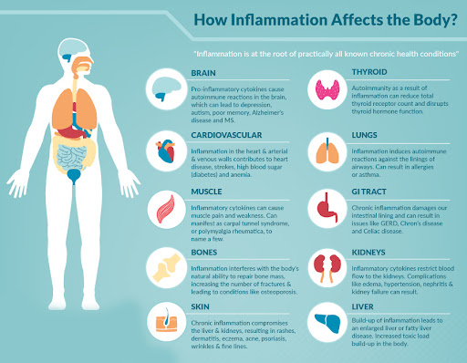 TCM - Health Benefits Of Traditional Chinese Medicine